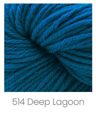 Load image into Gallery viewer, Cascade Yarns 220 Superwash Aran Yarn