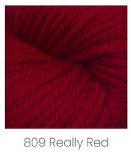 Load image into Gallery viewer, Cascade Yarns 220 Superwash Aran Yarn