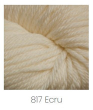 Load image into Gallery viewer, Cascade Yarns 220 Superwash Aran Yarn