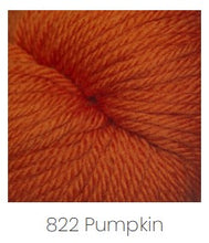 Load image into Gallery viewer, Cascade Yarns 220 Superwash Aran Yarn