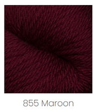Load image into Gallery viewer, Cascade Yarns 220 Superwash Aran Yarn