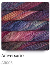 Load image into Gallery viewer, Malabrigo Arroyo