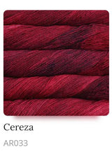 Load image into Gallery viewer, Malabrigo Arroyo