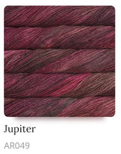 Load image into Gallery viewer, Malabrigo Arroyo