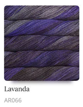 Load image into Gallery viewer, Malabrigo Arroyo