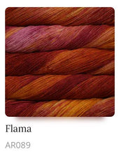 Load image into Gallery viewer, Malabrigo Arroyo