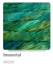 Load image into Gallery viewer, Malabrigo Arroyo