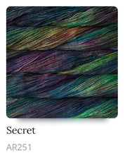 Load image into Gallery viewer, Malabrigo Arroyo