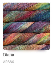 Load image into Gallery viewer, Malabrigo Arroyo