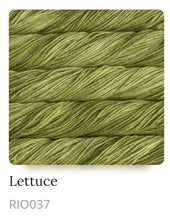Load image into Gallery viewer, Malabrigo Rios Superwash Yarn