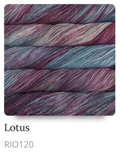 Load image into Gallery viewer, Malabrigo Rios Superwash Yarn