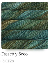 Load image into Gallery viewer, Malabrigo Rios Superwash Yarn