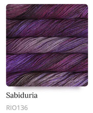 Load image into Gallery viewer, Malabrigo Rios Superwash Yarn