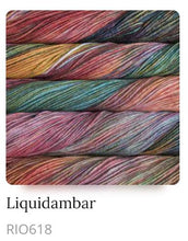 Load image into Gallery viewer, Malabrigo Rios Superwash Yarn