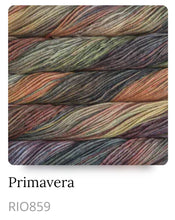 Load image into Gallery viewer, Malabrigo Rios Superwash Yarn