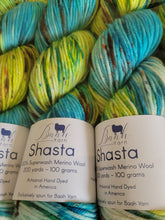 Load image into Gallery viewer, Baah Shasta Worsted Yarn of the Month
