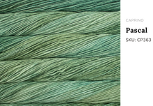 Load image into Gallery viewer, Malabrigo Caprino
