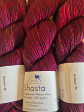 Load image into Gallery viewer, Baah Shasta Worsted Yarn of the Month

