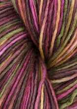 Load image into Gallery viewer, Manos Del Uruguay - Manos Silk Blend Multi Knitting Yarn - Woodland (# 3109)
