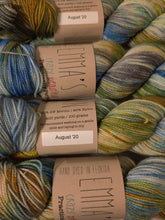 Load image into Gallery viewer, Emma&#39;s Yarn Practically Perfect Sock
